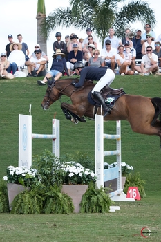 Ben Maher & Faltic - 2nd in Wellington $140,000 Grand Prix Ben Maher & Faltic - 2nd in Wellington $140,000 Grand Prix